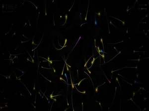 【PCライブ壁紙】光ファイバー / Fiber Optic